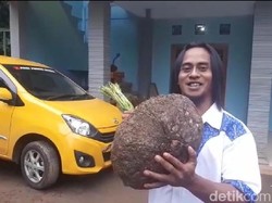 Top! Pria di Madiun Jadi Miliarder Setelah Budidaya Porang