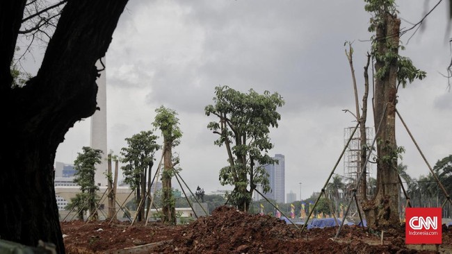 Sebanyak 191 pohon yang ditebang dalam revitalisasi Monas tak diketahui keberadaannya, anak buah Anies saling lempar tanggung jawab.