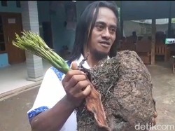 Setelah Jadi Miliarder, Mantan Pemulung Ini Bagikan Ilmu Tanam Porang