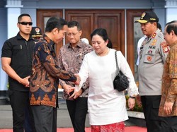 Viral Video TikTok Hina Jokowi-Puan Maharani, Ini Respons Polri