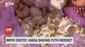 VIDEO: Impor Disetop, Harga Bawang Putih Meroket