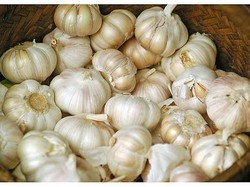 Heboh Corona, Impor Bawang Putih dari China Masih Dibuka