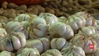 VIDEO: Virus Corona Mewabah, Harga Bawang Putih Menggila