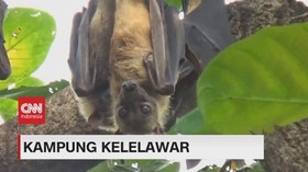 VIDEO: Mengulik Kehidupan Warga di Kampung Kelelawar