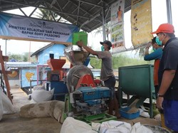 Strategi KKP Tingkatkan Kesejahteraan Pembudidaya Ikan