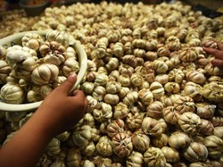 Bos Badan Pangan Klaim Harga Bawang Putih Bakal Turun di Bawah Rp 36.000/Kg