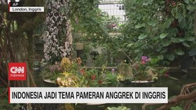 VIDEO: Indonesia Jadi Tema Pameran Anggrek di Inggris