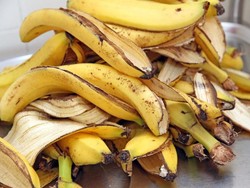 Ilmuwan Ciptakan Baterai dari Limbah Kulit Pisang