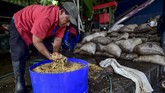 FOTO : Mengenal Geisha, Kopi Termahal di Dunia Kopi Geisha dari Panama dinobatkan menjadi kopi termahal di dunia karena cita rasa dan aromanya yang enak. Kopi ini dijual Rp14,4 juta per 450 gram.