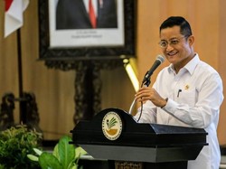 Juliari: BP3S Otak Pengembangan SDM Pekerja Sosial Kemensos