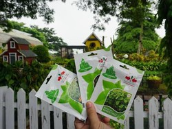 Wisata Hits Purwakarta, Berkebun di Urban Farming Center