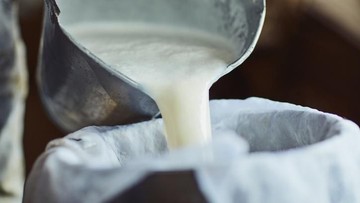 Manfaat Susu Pasteurisasi Vs Susu Segar