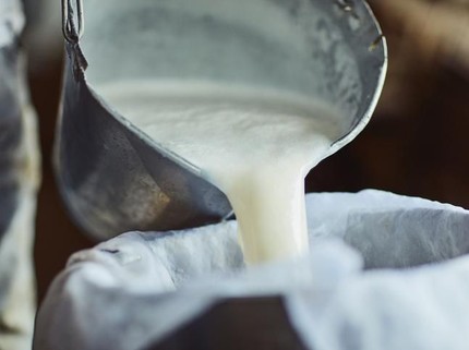 Cara Sederhana Mengolah Susu Pasteurisasi di Rumah