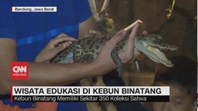 VIDEO: Wisata Edukasi di Kebun Binatang