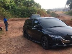 Ambles! Honda Odyssey Dipakai Angkut 3 Sapi
