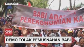 VIDEO: Demo Tolak Pemusnahan Babi