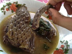 Imbas Virus Corona, Sup Trenggiling Populer dan Musang King Anjlok Harganya