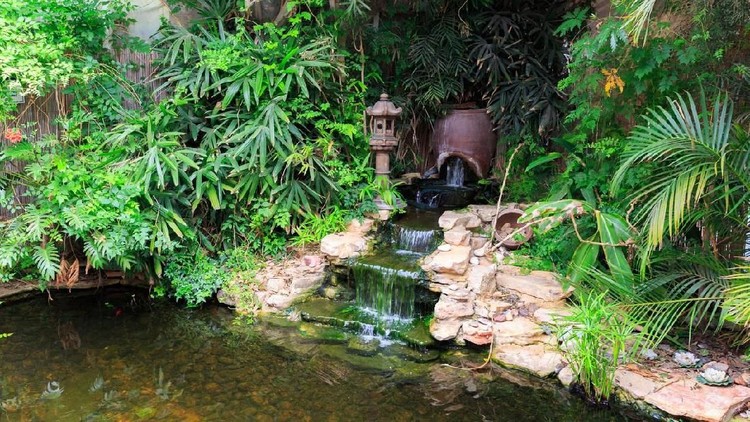 Bagi Bunda yang ingin menata taman di rumah minimalis, cobalah dengan menambahkan fitur air yang menambah kesejukan dan menenangkan jiwa.