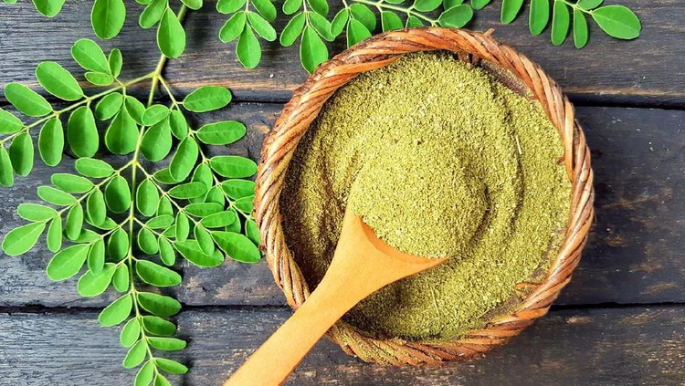 Kelor disebut sebagai pohon ajaib karena seluruh bagian dari tumbuhan tersebut memiliki banyak manfaat, mulai dari daun, biji-bijian, hingga akarnya.