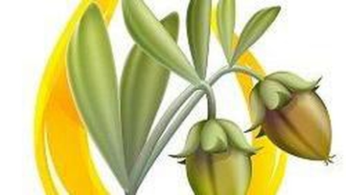 4 Cara Penggunaan Jojoba Oil untuk Kecantikan