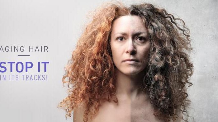 Biar Tetap Sehat sampai Tua, Begini Tips Menghindari Penuaan Pada Rambut