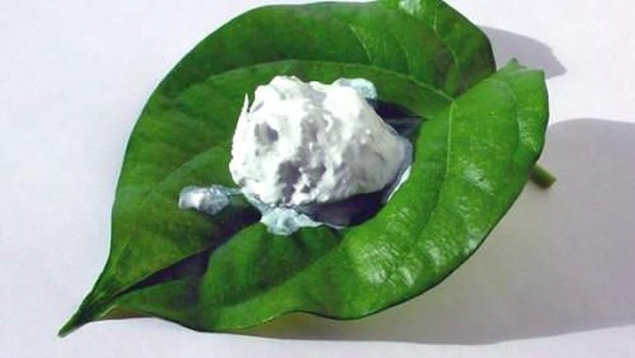 Cara Menghilangkan Bulu Kaki Dengan Kapur Sirih