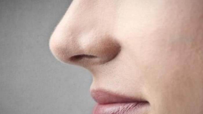 Cara Buang Bulu Hidung Cara Menghilangkan Bulu Hidung yang Benar, Ingat Jangan Dicabut!