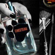 Yummy! Cheetos Rilis Bronzer dan Parfum Sewangi Rasa Kejunya