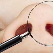 Ini Resiko Cara Menghilangkan Bulu Hidung Dengan Dicabut