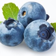Manfaat Blueberry untuk Kesehatan Tubuh dan Kecantikan Kulit