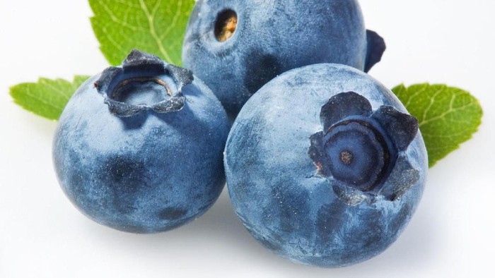 Manfaat Blueberry untuk Kesehatan Tubuh dan Kecantikan Kulit
