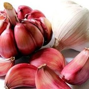 Makanan yang Menjadi Penyebab Bau Mulut