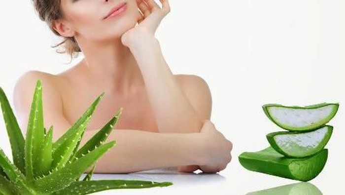 Cara Menghilangkan Komedo Membandel Dengan Lidah Buaya