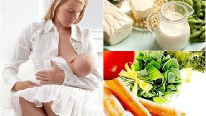 Memilih Makanan Diet Sehat Untuk Ibu Menyusui