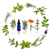 Trik Menggunakan Essential Oil untuk Mengurangi Nafsu Makan