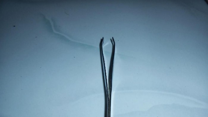 Cara Menghilangkan Bulu Hidung Dengan Aman dan Tepat