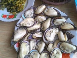 Kuy Ah! Pesta Seafood Murah di Pesisir Pantai Pangandaran