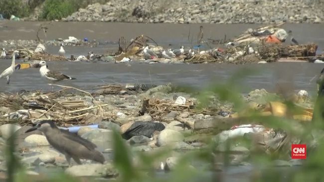 Video Sungai Di Peru Tercemar Berat Akibat Limbah