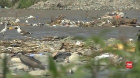 VIDEO: Sungai di Peru Tercemar Berat Akibat Limbah