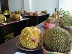 Resep Bikin Durian Mentah Jadi Gulai