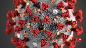 Ilmuwan China Prediksi Puncak Virus Corona Akhir Februari