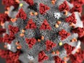Amerika Serikat Rilis Gambar Baru Virus Corona China Covid-19