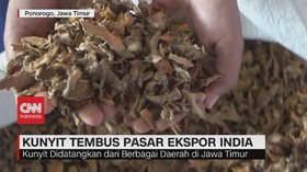 VIDEO: Kunyit Tembus Pasar Ekspor India