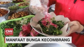 VIDEO: Manfaat Bunga Kecombrang
