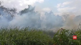 VIDEO: Ratusan Hektar Lahan Terbakar, Riau Siaga Darurat