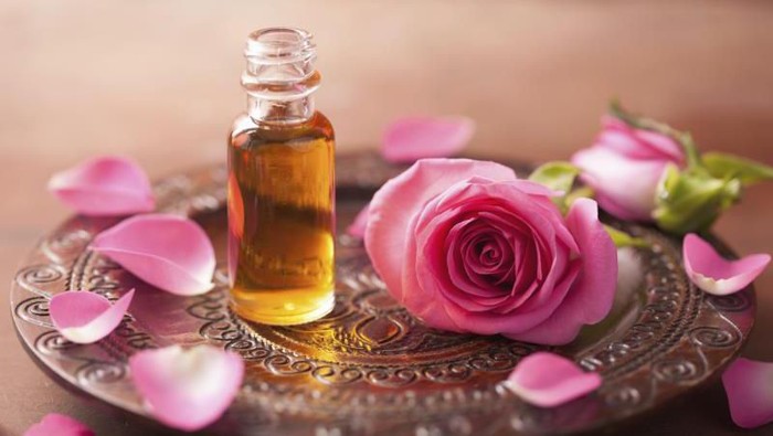 Macam-Macam Oil dan Kegunaannya