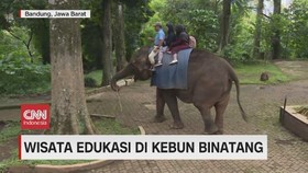 VIDEO: Wisata Edukasi di Kebun Binatang