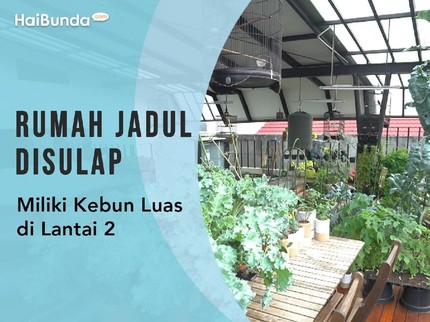 Rumah Jadul Disulap Miliki Kebun Luas di Lantai 2