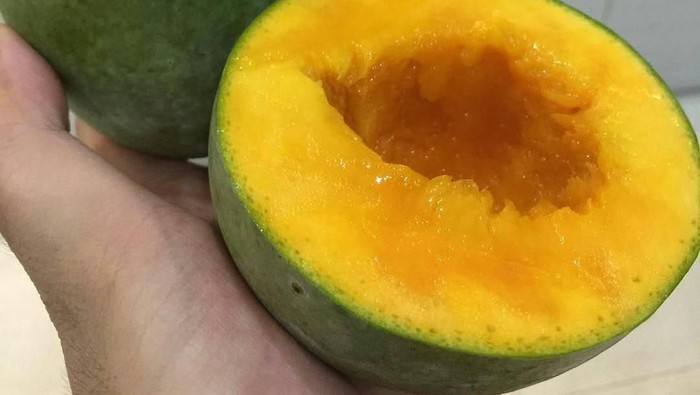 Ada yang sudah nyoba mangga alpukat? Penasaran, apa sih rasanya? Ada yang sudah nyoba mangga alpukat? Penasaran, apa sih rasanya?