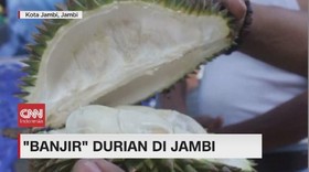 VIDEO: Banjir Durian di Kota Jambi